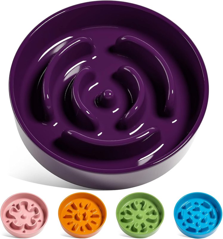 Purple ceramic slow feeder bowl with smaller bowls in other colors